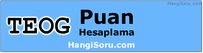8.sinif-teog-puan-hesaplama