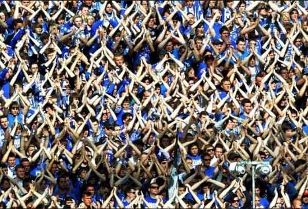 Schalke 04 Taraftar Grubu