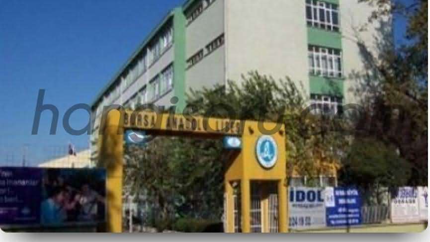  Bursa Anadolu Lisesi Resim