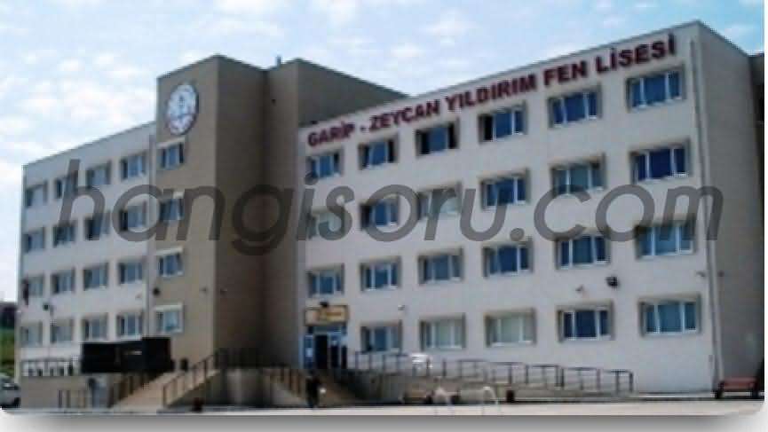  Samsun Garip Zeycan Yıldırım Fen Lisesi Resim