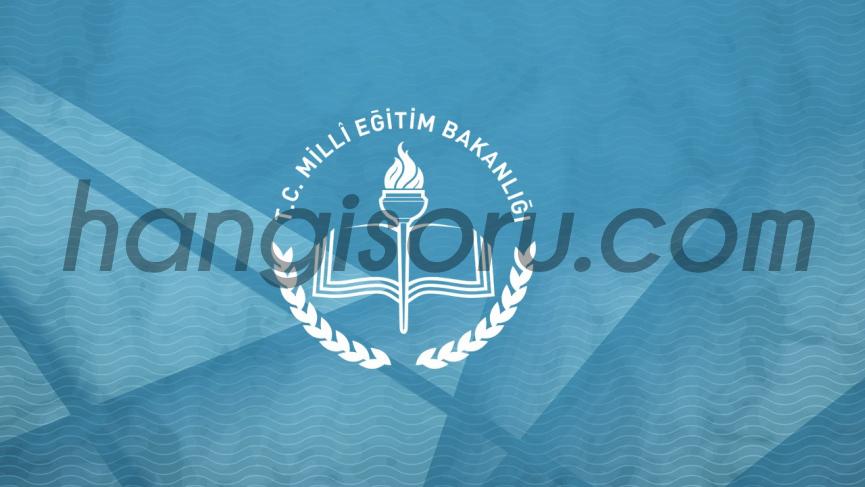 Teknopark İstanbul Mesleki ve Teknik Anadolu Lisesi Resim
