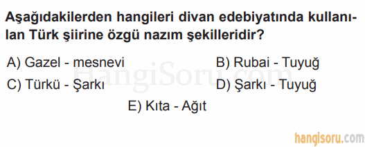 Soru 5