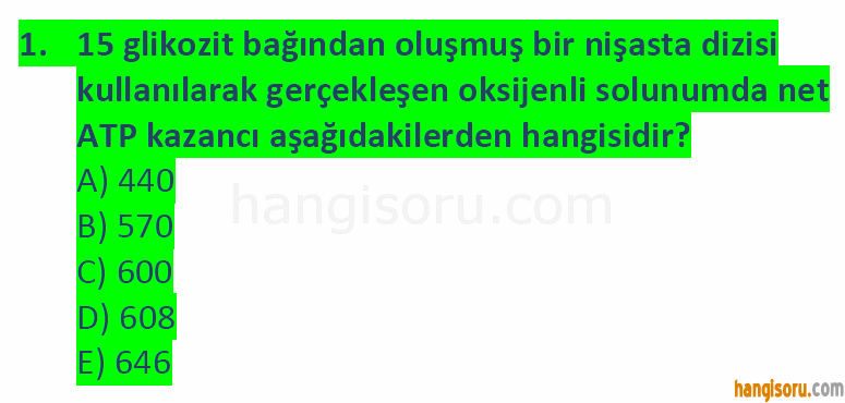 Soru 1