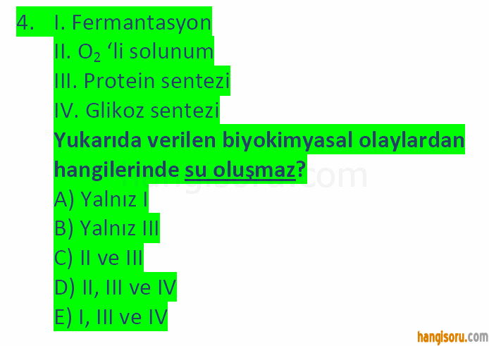 Soru 4