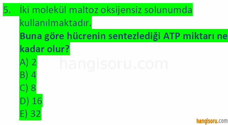 Soru 5