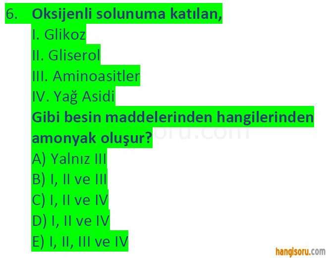 Soru 6