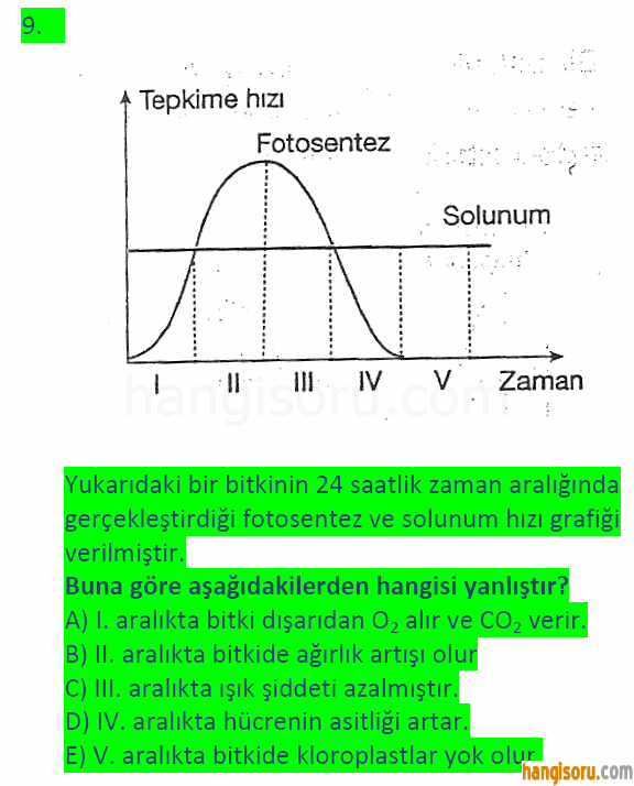 Soru 9