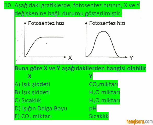 Soru 10