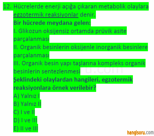 Soru 12