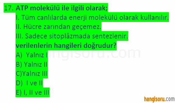 Soru 17