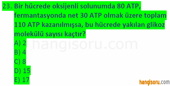 Soru 23