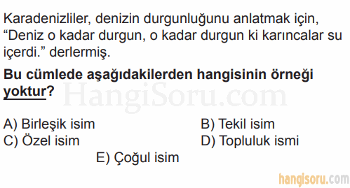 Soru 8