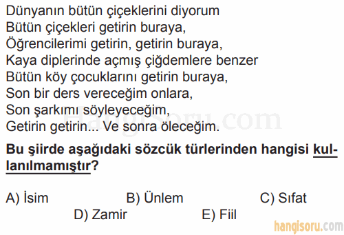 Soru 7