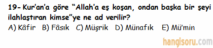 Soru 19