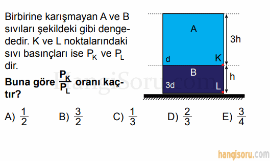 Soru 5