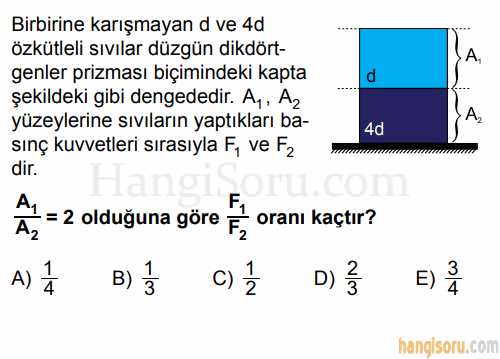Soru 7