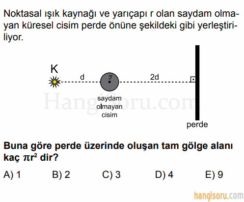Soru 8