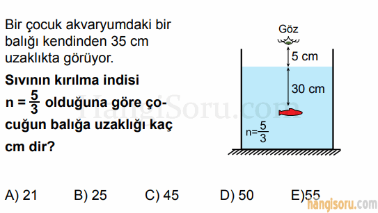 Soru 6