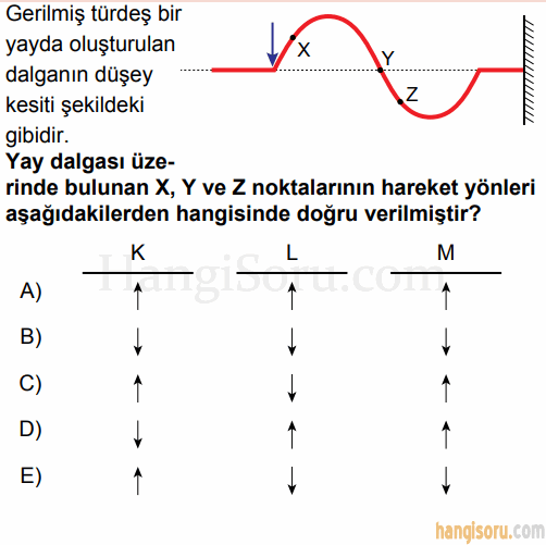 Soru 7