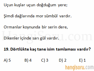 Soru 19