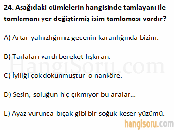 Soru 24