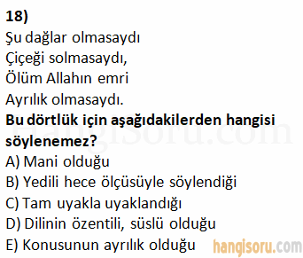 Soru 18