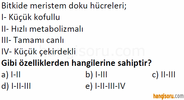 Soru 1