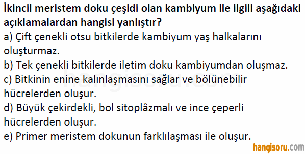 Soru 2