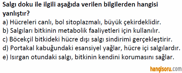 Soru 4