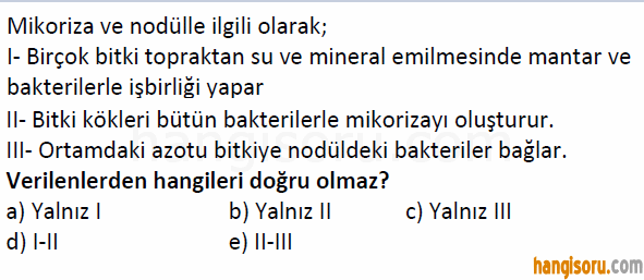 Soru 5