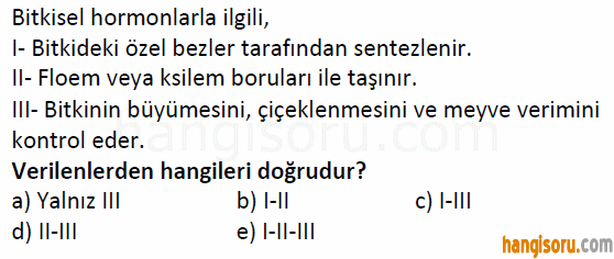Soru 6