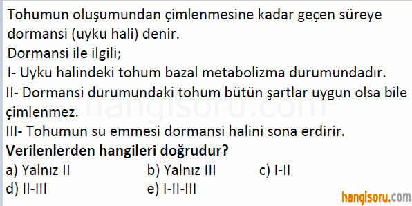 Soru 12