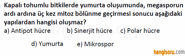 Soru 18