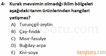 Soru 4