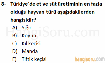 Soru 8
