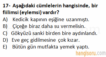 Soru 17
