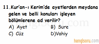 Soru 11