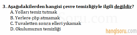 Soru 3