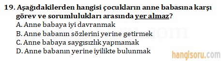 Soru 19