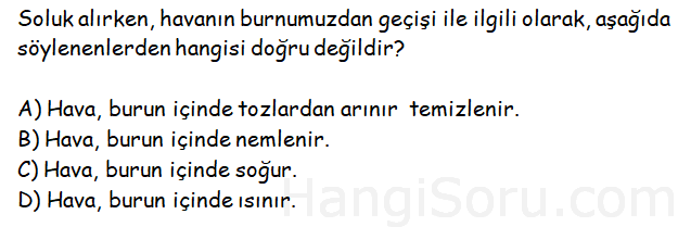 Soru 3