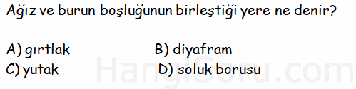 Soru 4