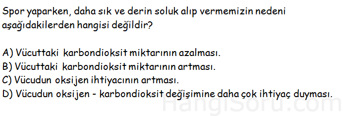 Soru 6