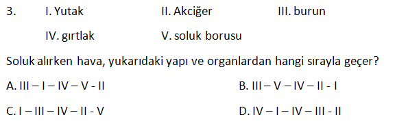 Soru 3