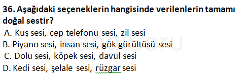 Soru 33