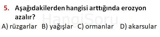 Soru 5