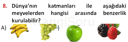 Soru 8