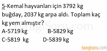 Soru 5