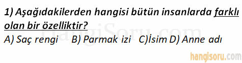 Soru 1