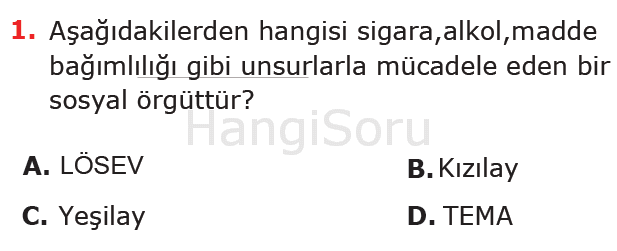 Soru 1