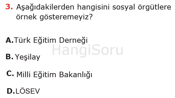 Soru 3